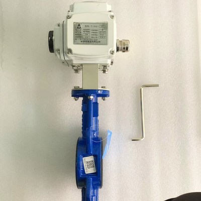 正品AMICO埃美柯9830对夹式电动蝶阀 D971X-16Q DN50-DN300