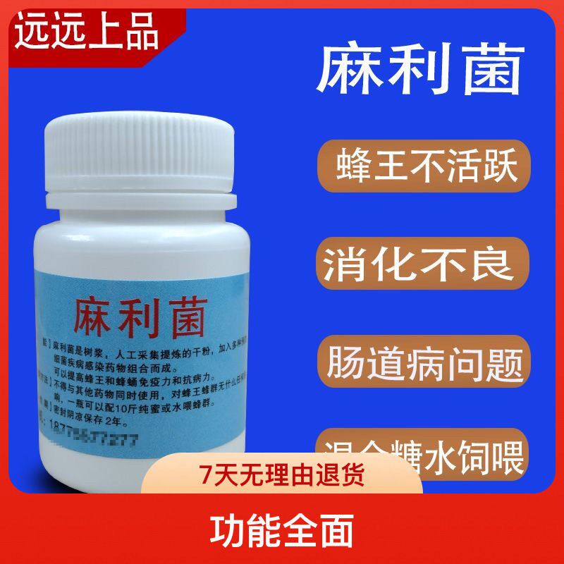 胡蜂用麻利菌胡蜂拉稀拉肚子消化不良肠K道不好适合各种胡蜂专用