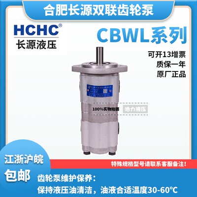 合肥长源双联齿轮泵CBWL-E310/E310-ALP 2孔,螺纹平键