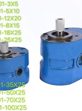 HY01-3X5 5X10 8X15 12X20 18X25 25X25 50X25 100X25齿轮油泵泵