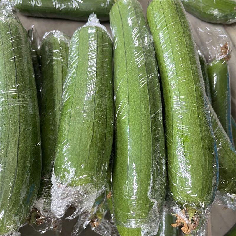 奶油香丝瓜青丝瓜农家新鲜丝瓜绿皮丝瓜时令蔬菜鲜嫩甜