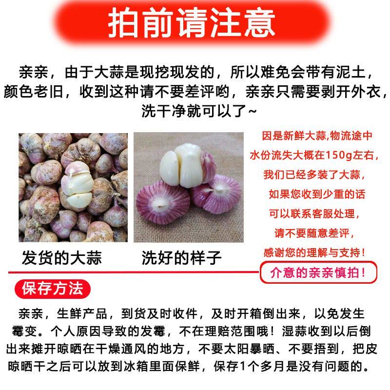 【三胞胎紫皮大蒜】2026年云南紫皮大蒜三丫蒜今年新蒜蒜味足易储
