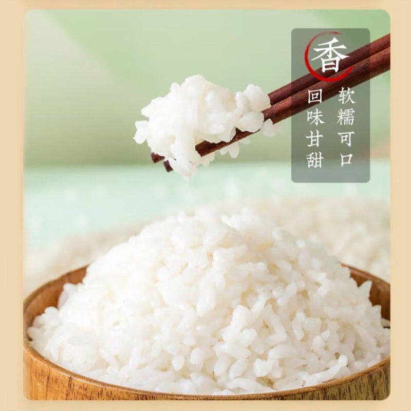 疆域雪水米新疆大米颗粒饱满米饭软糯有嚼劲不抛光现磨新米惊喜