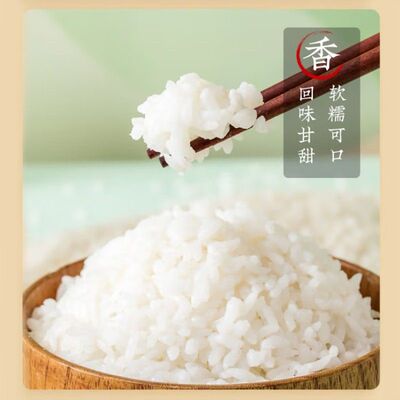 疆域雪水米新疆大米颗粒饱满米饭软糯有嚼劲不抛光现磨新米惊喜