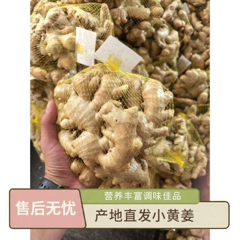 【精品两年老姜】贵州小黄姜水洗风干无泥净姜云南小黄姜多仓发货