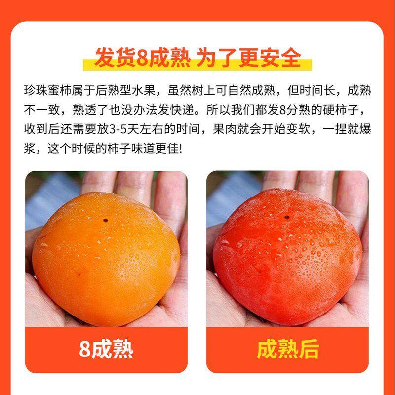 【放软再吃】正宗火晶软柿子当季新鲜水果果园采摘爆浆甜柿坏果包