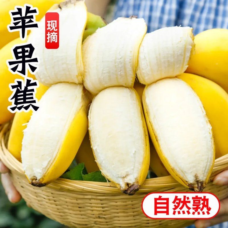 【超甜!】软糯香甜苹果粉蕉正宗新鲜水果香蕉果园现摘5斤西贡蕉