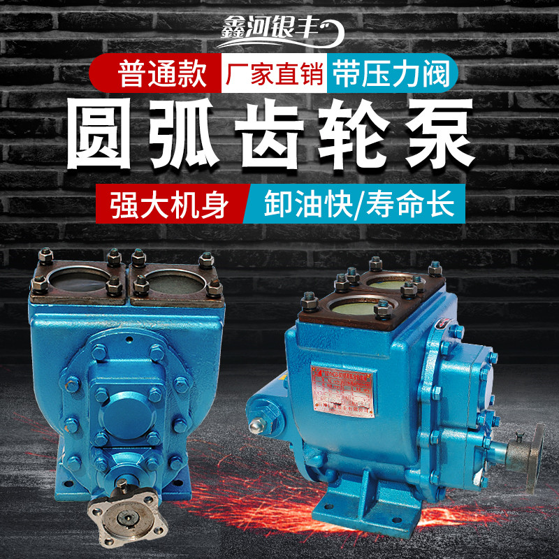 圆弧齿轮泵高粘度柴油汽油防爆抽油泵洒水油罐大流量小型车载油泵