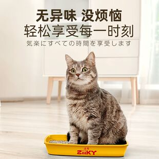 滋奇猫砂豆腐砂细砂除臭无粉尘不沾底可冲厕所奶香R5斤20斤50斤