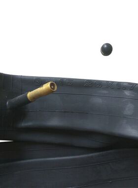 自行车内胎18寸20寸22X1.75/2x4*13826X2.125X1.95单车车胎加长嘴