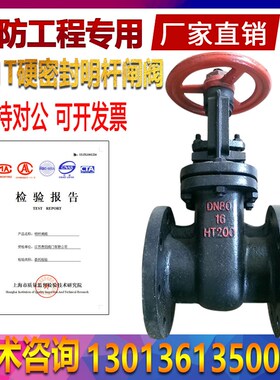 Z41T-16铸铁硬密封法兰明杆闸阀HT200 DN40 50 65 80 100 125 150