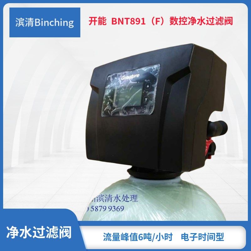 开能BNT891(T)净水控制阀 产水量6吨 适配桶直径200-450mm 1寸口,模玩/动漫/周边/娃圈三坑/桌游,桌游配件/卡套/保护膜,淘宝优惠券,粉丝福利购,淘宝优惠卷