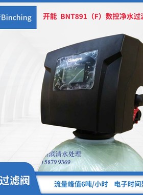 开能BNT891(T)净水控制阀 产水量6吨 适配桶直径200-450mm 1寸口