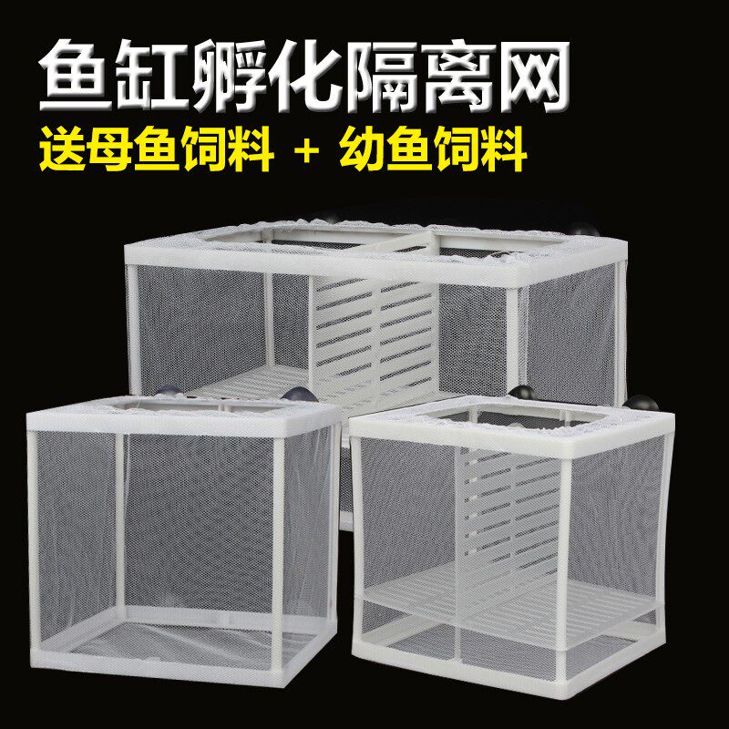 鱼缸水族箱孵化器小鱼隔离盒网热带鱼繁殖箱产盒孵鱼槽繁殖箱鱼网