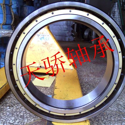61938M 天骄薄壁轴承 深沟球轴承 1000938M 铜保持架 议价