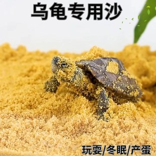 天然乌龟沙冬眠产蛋黄沙陆龟乌龟宠物养营养沙生蛋沙干净杀菌细沙