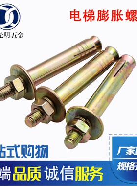 国标电梯专用膨胀螺栓镀彩锌电梯壁虎膨胀螺丝M12M16重型膨胀螺栓