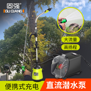 直流潜水泵锂电无线抽水机20V农用小型家用抽水雨水泵清水污水泵