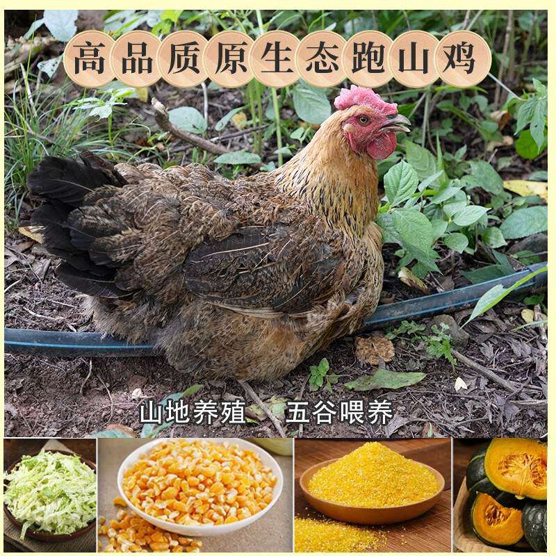 三德子【两只壮年母鸡】高品质正宗农家散养土鸡新鲜滋补老母鸡生