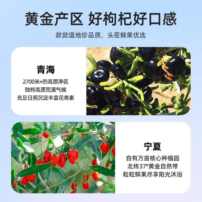 【滋补礼盒】纯耕红黑枸杞原浆组合鲜枸杞原浆科学搭配zb