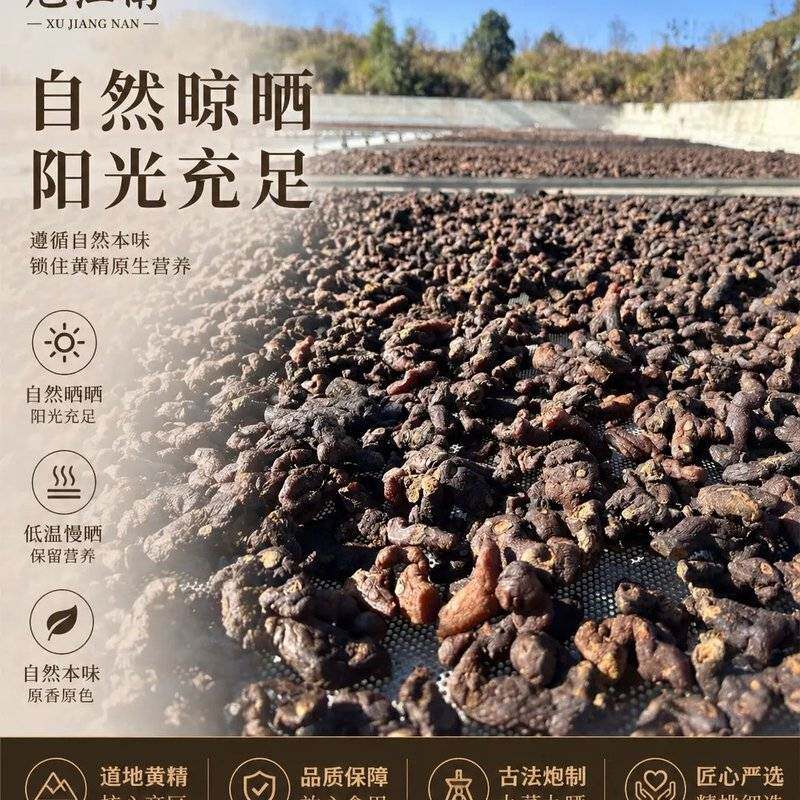 九蒸九晒黄精泡茶煲汤 九华山多花黄精