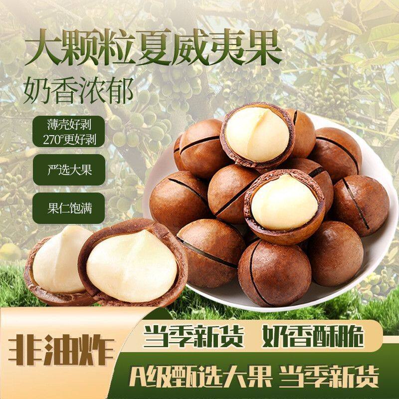 【坏果包赔】26年当季新果大颗粒奶香夏威夷果一斤送开口器ss