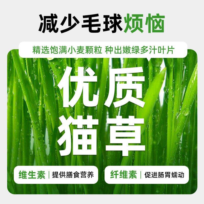 速酷猫草饼干猫零食猫咪磨牙营养健康排毛化毛薄荷饼干增肥发腮