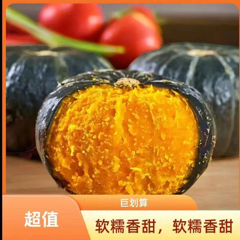 正宗沙地贝贝南瓜粉糯香甜板栗味宝宝辅食粗粮代餐新鲜现货包粉