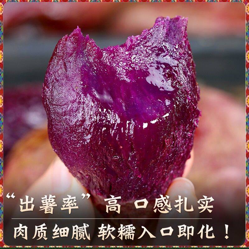 【亏本助农】新鲜紫罗兰紫薯农家自种沙地蜜薯软糯香甜地瓜粗粮蔬