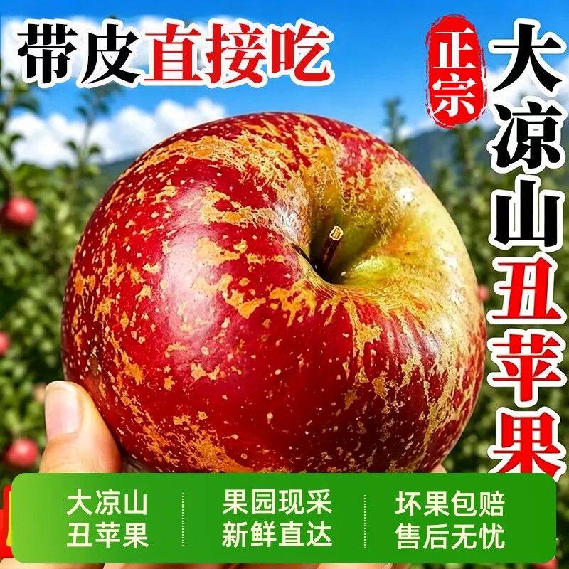 正宗四川大凉山丑苹果新鲜现摘高原脆甜当季应季水果脆甜多汁