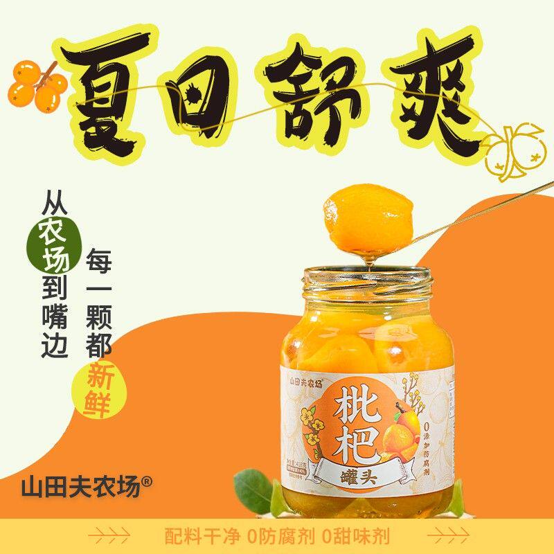 枇杷罐头418g*2罐应季水果罐头果肉饱满清甜新鲜解馋追剧零食充饥