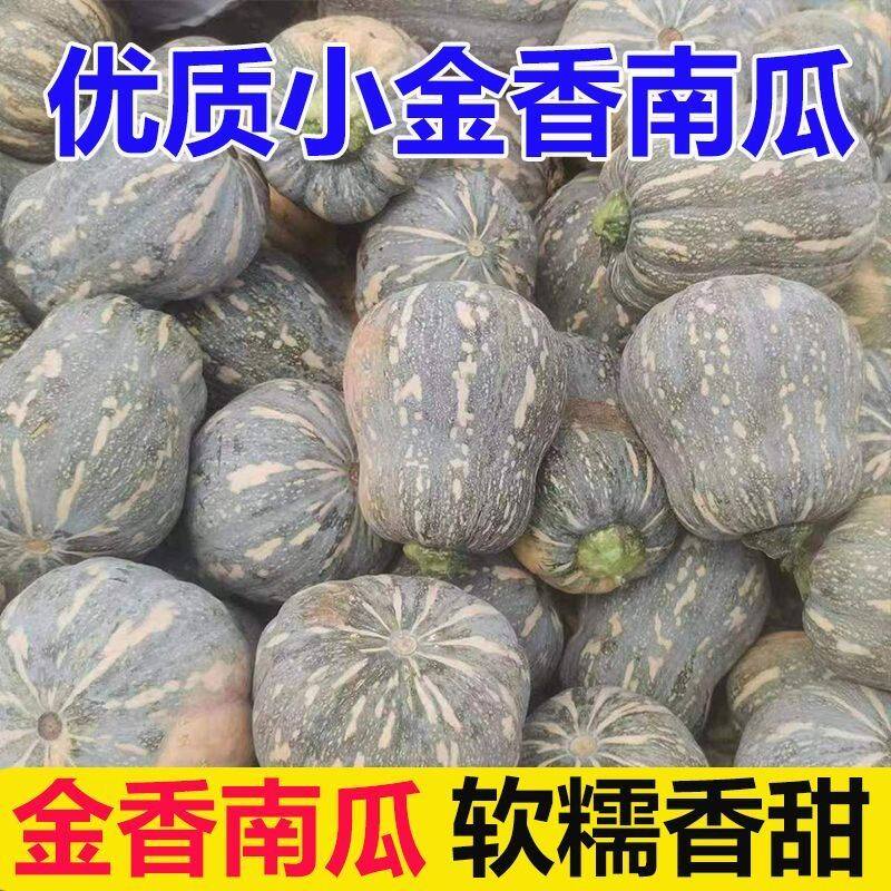 农家金香南瓜自种粉糯香甜香芋南瓜自产自销甜面农产品
