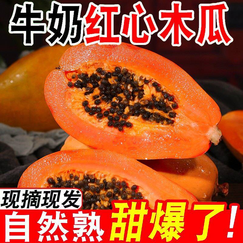 【牛奶木瓜】正宗冰糖心红心牛奶木瓜树熟8成熟黄绿果发货