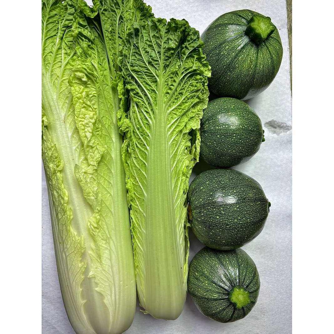 正宗贵州威宁新鲜现砍现发青麻叶白菜大白菜绿色蔬菜农家自种