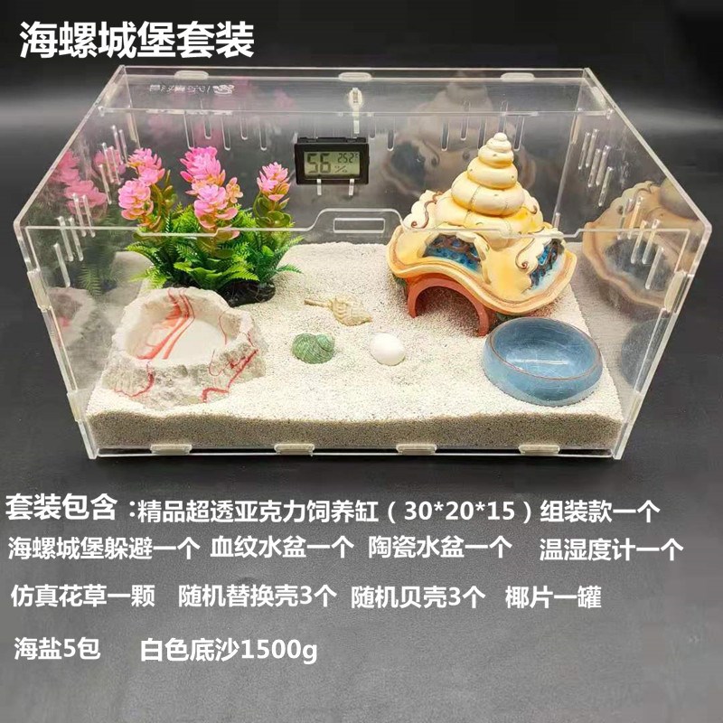 寄居蟹新手儿童套装 草莓 短腕 深紫 灰白寄居蟹 主题套装