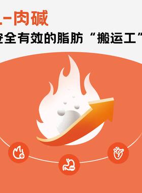 价成狗柯粮非全低脂狗犬GRT食狗食防肥胖泰迪基