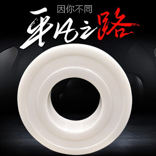 氧化锆全陶瓷轴承608 6000 6001 6002 6003 6004 6005CE 满珠密封