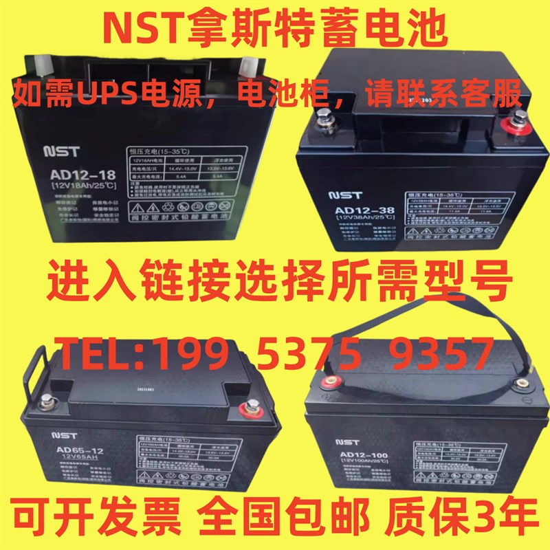 NST拿斯特蓄电池AD12-100 12V100AH65AH38AH24AH应急照明集中电源