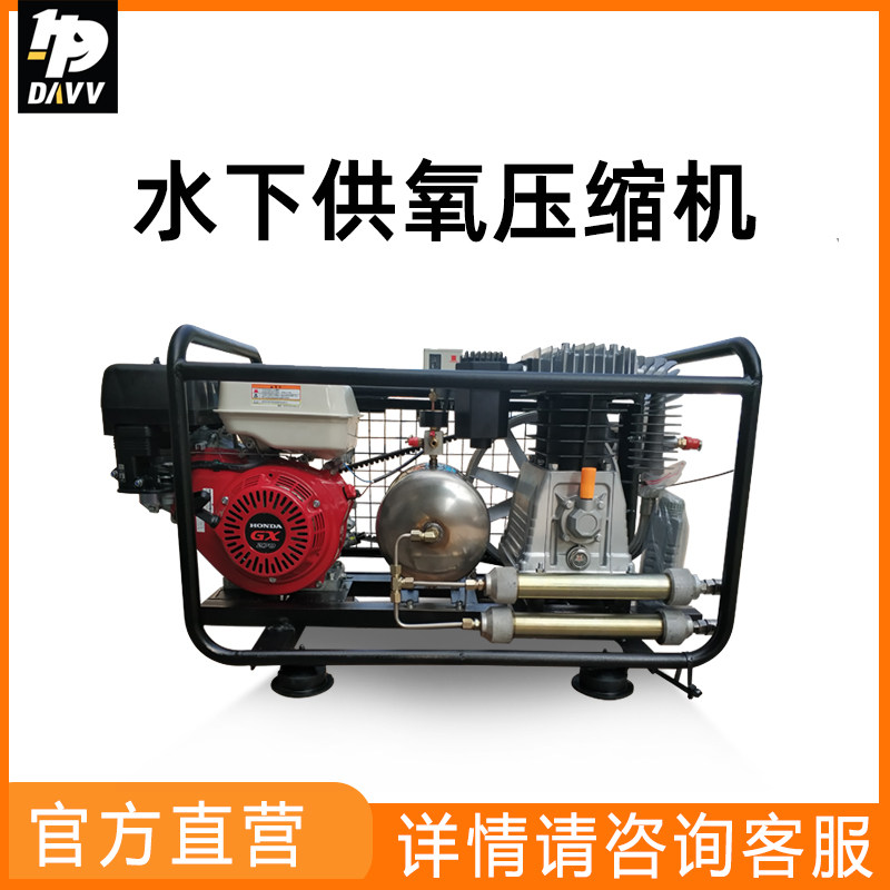 DAVV空压机供气机 空气浮潜呼吸器充气泵 喷砂 海水养殖 海底作业