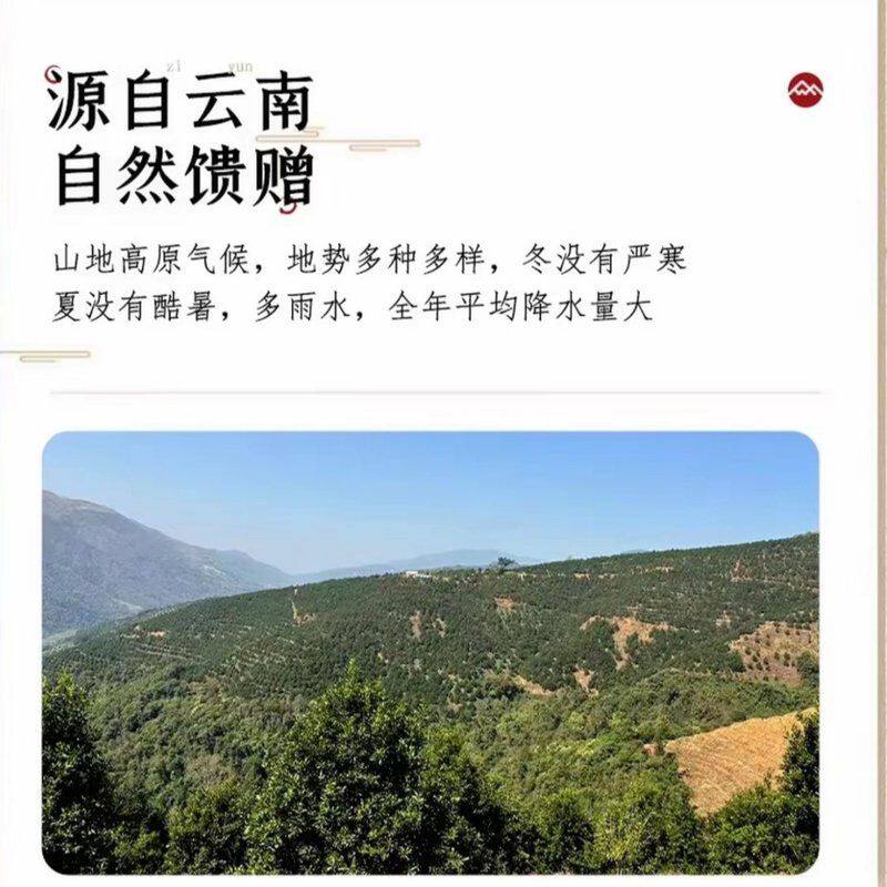 果云阁_新货夏威夷果大颗粒奶香味坚果净重500g/袋装壳薄坏果包赔