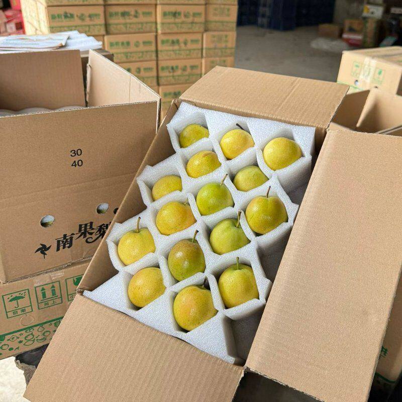 鞍山南果梨好吃新鲜水果礼盒当季南国梨子东北特产冻梨香水梨酒香