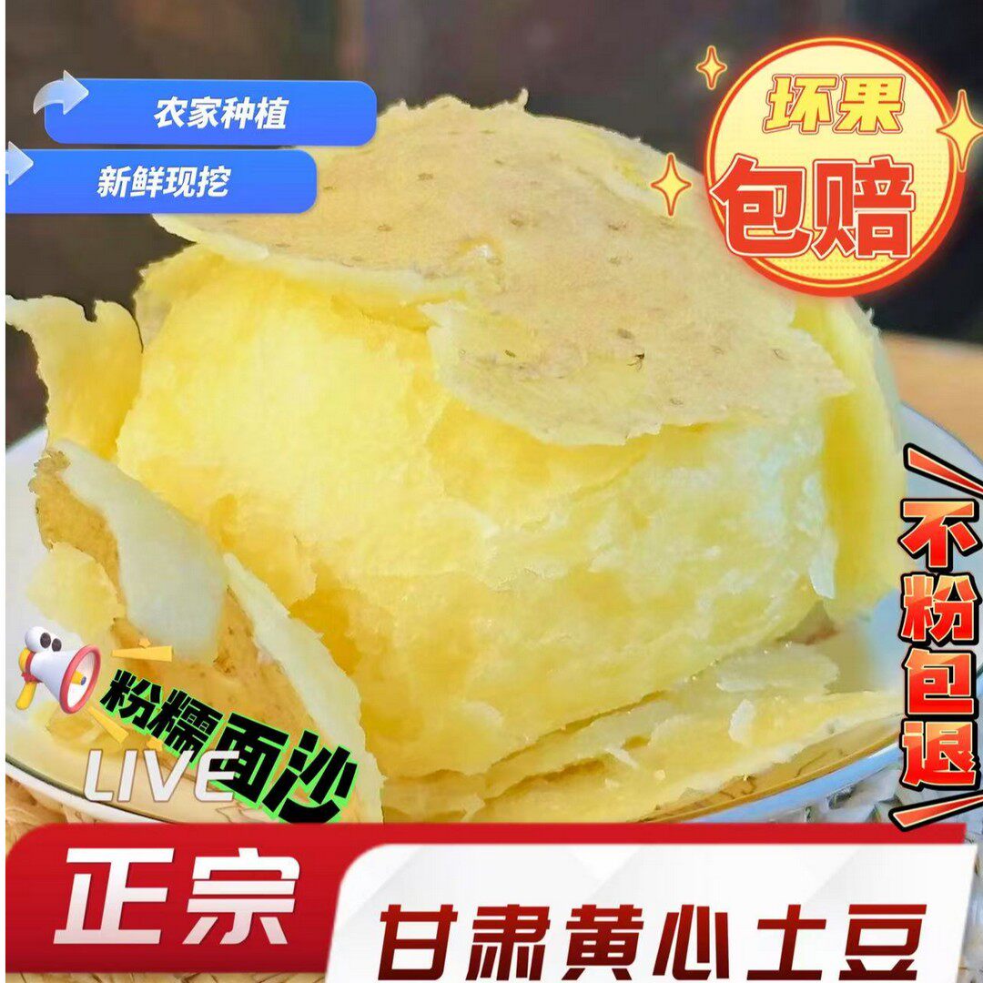 甘肃定西高山沙地粗皮黄心沙面土豆蒸烤粉面糯沙