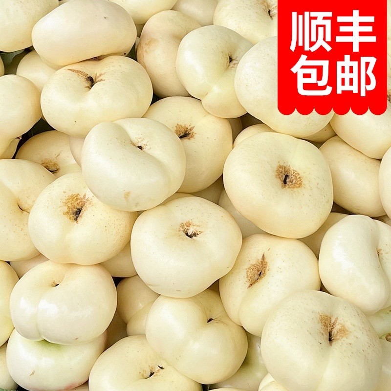 奶油蟠桃稀有品种3-4斤蒙阴产地蜂蜜味奶油白蟠桃子