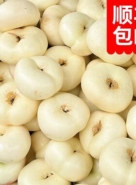 奶油蟠桃稀有品种3-4斤蒙阴产地蜂蜜味奶油白蟠桃子