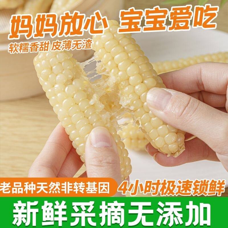 云南版纳拇指玉米香糯小玉米傣家甜黏手指玉米宝宝小玉米软糯香甜