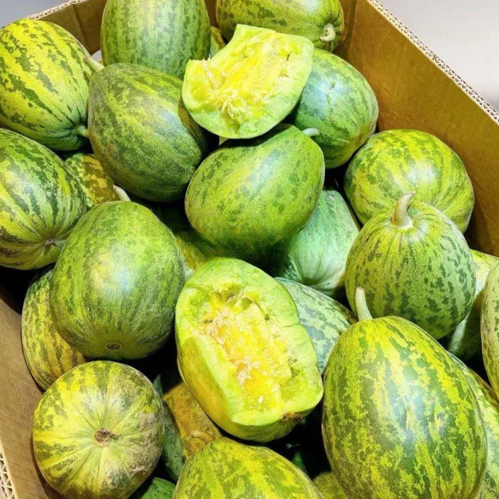 《丹选》甜甜圈香瓜 5斤左右