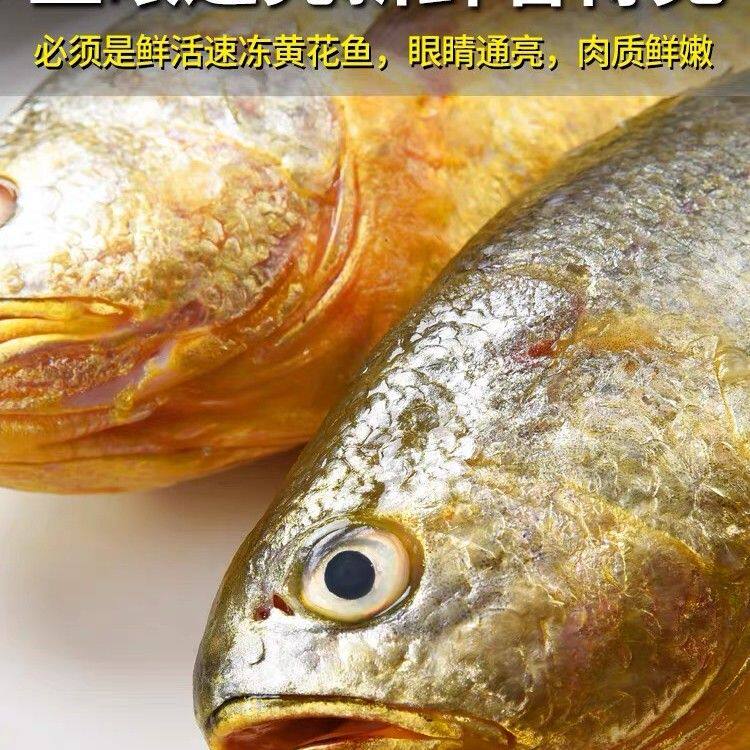 特大号新鲜黄花鱼单条约1斤左右(450g~500g) 速冻锁鲜顺丰发货