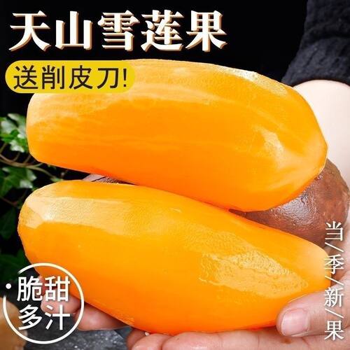 云南天山雪莲果脆甜多汁新鲜现挖黄心应季水果F