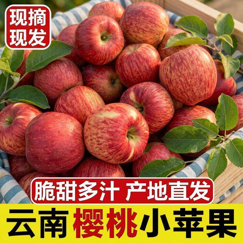 樱桃小苹果现摘现发昭通丑苹果