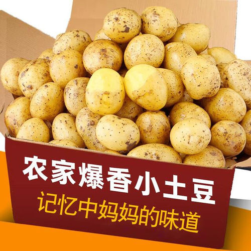 网红恩施黄心小土豆呀新鲜蔬菜3/5/9斤迷你马铃薯洋芋[粉糯香甜]